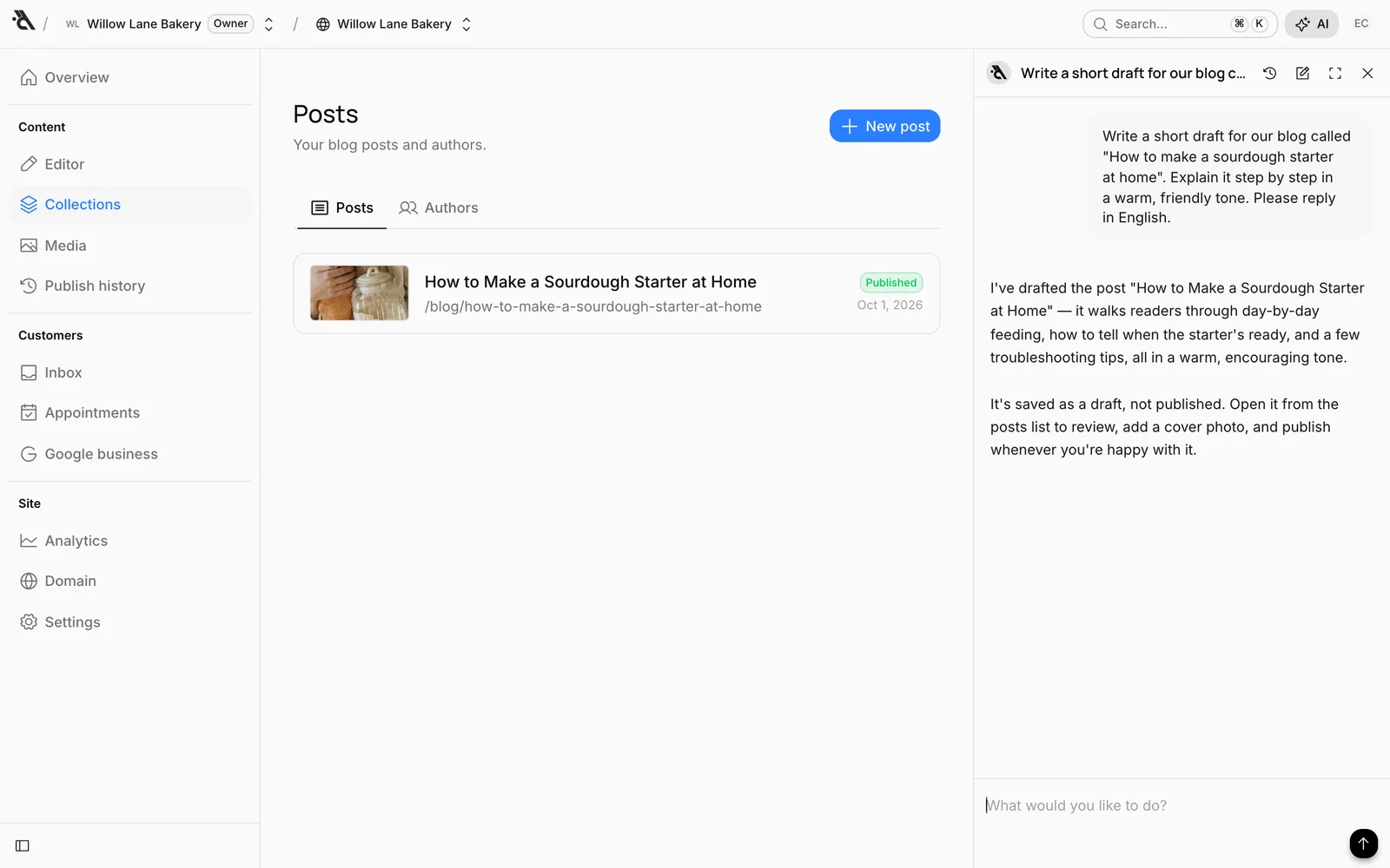 The Posts screen: one post, with the assistant open on the right