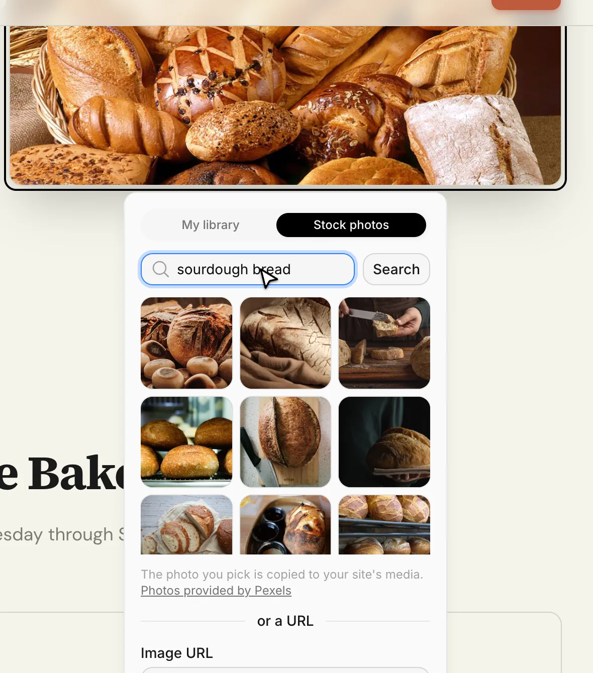 Stock photo search: results for sourdough bread