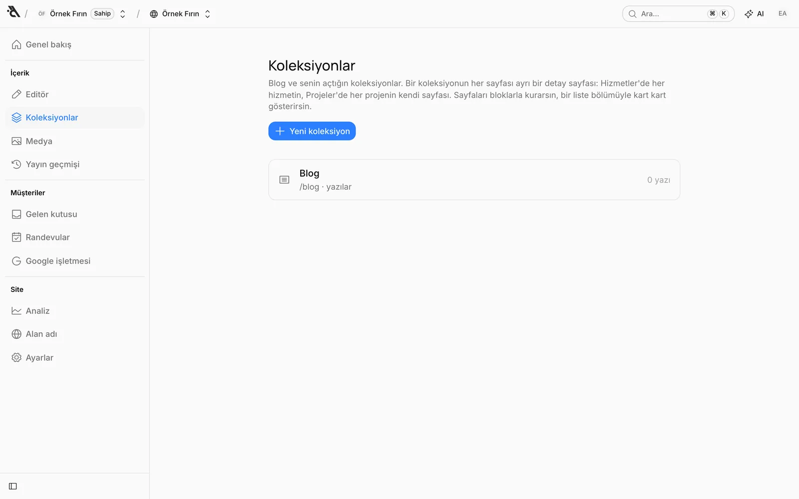 Koleksiyonlar ekranı: yalnızca Blog var, sağ üstte Yeni koleksiyon