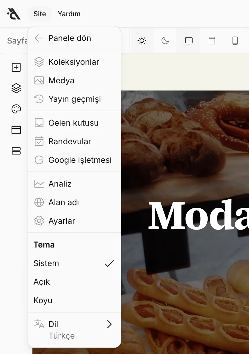 Site menüsü: Panele dön, Koleksiyonlar, Medya, Yayın geçmişi, Gelen kutusu, Randevular, Google işletmesi, Analiz, Alan adı, Ayarlar, Tema ve Dil