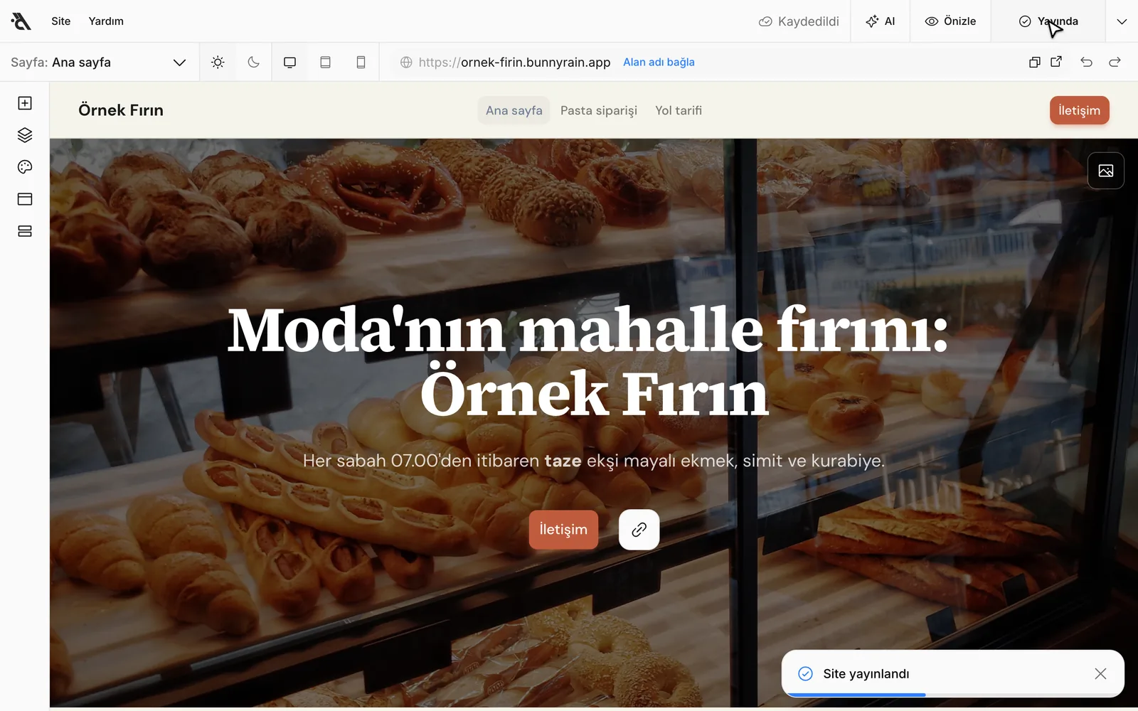 Yayınlandıktan sonra Site yayınlandı bildirimi