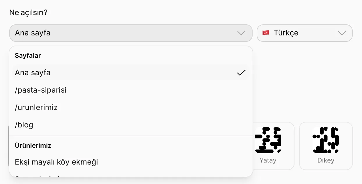 Ne açılsın listesi: sayfalar, koleksiyon sayfaları ve blog yazıları