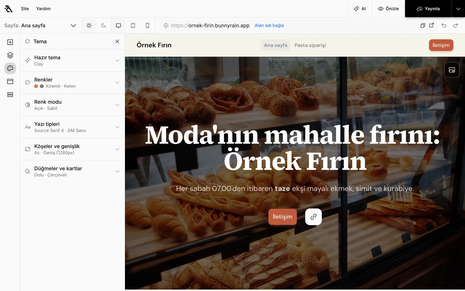 Tema paneli açık editör